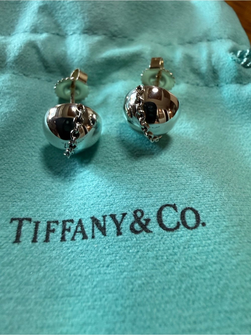 New Authentic Tiffany & Co. Silver Bolt Earrings